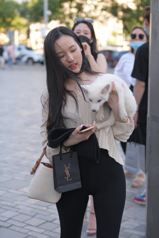 抱着小狗的漂亮女孩 J2106 136P-3.25GB-七七小屋